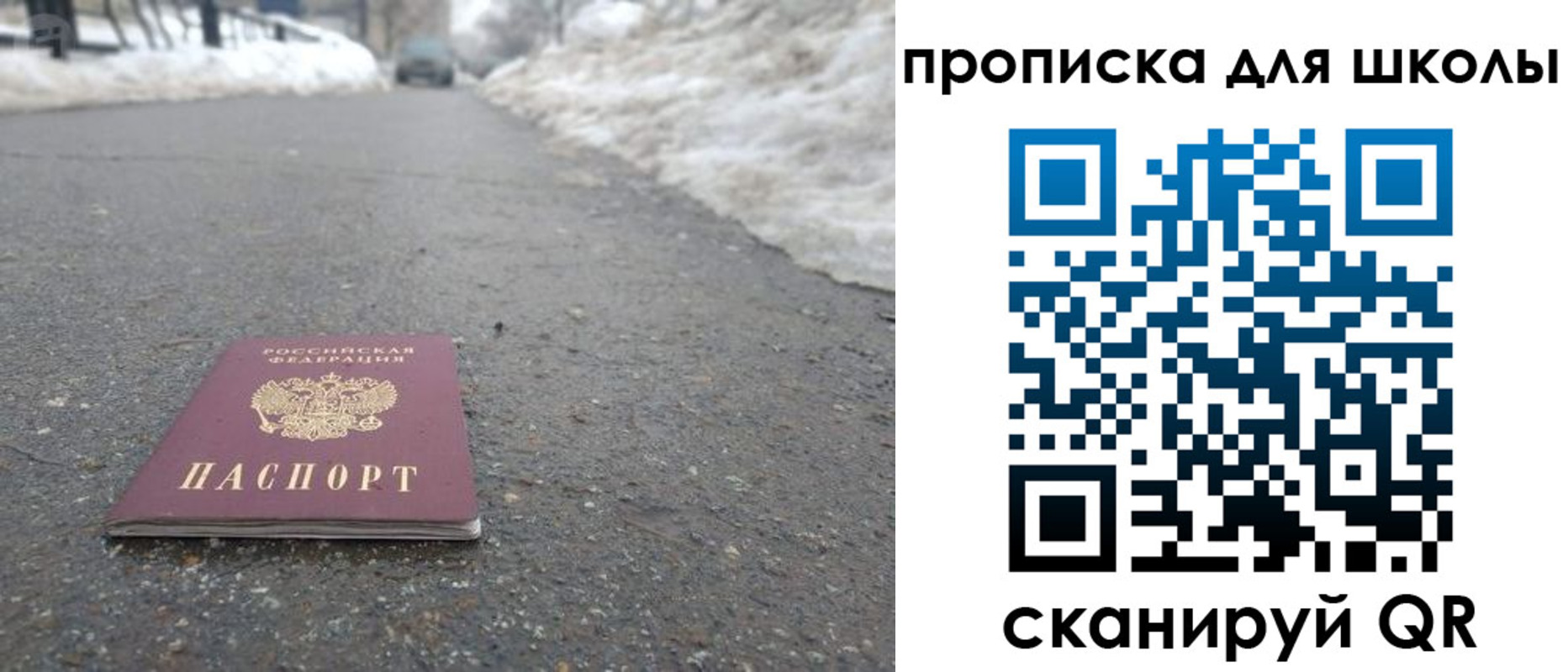 прописка для школы в Алтайском крае